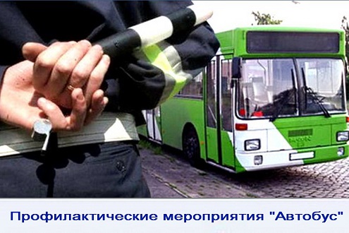 ПМ Автобус.jpg